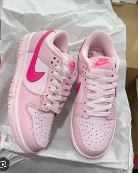 Nike SB Sneakers